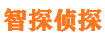 鸡西外遇调查取证